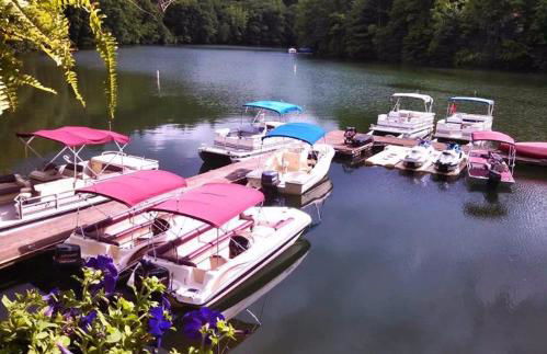 The Owl's Perch - Foto 34