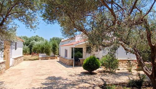 Maki'shouse - Foto 3, Garden, Garden view