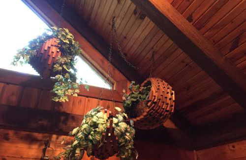 Cherokee mountain log cabin resort - Foto 112