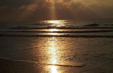 Maison au calme sur grand terrain avec piscine - Foto 14