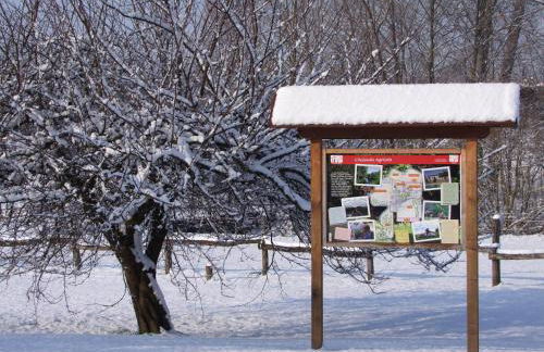 Agriturismo L'Acero Rosso - Foto 63