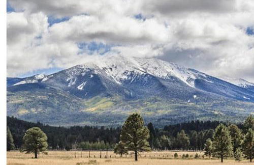 5 Bedroom 4 Bath Boutique Home PREMIUM LOCATION + heated pool option - Foto 36