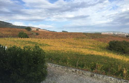 Quinta dos Espinheiros - Photo 33