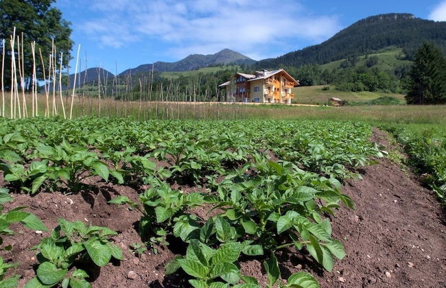 Agritur Maso Chemela - Foto 52