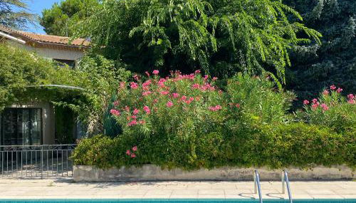 The Garden View - Photo 3