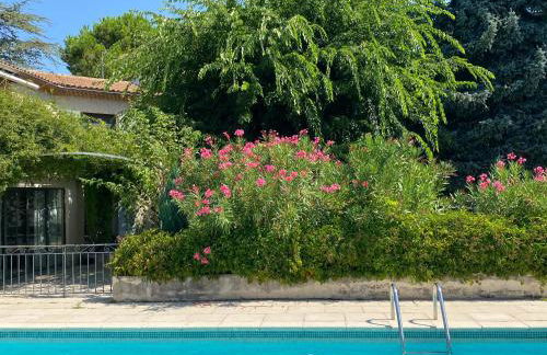 The Willow Tree - Photo 19