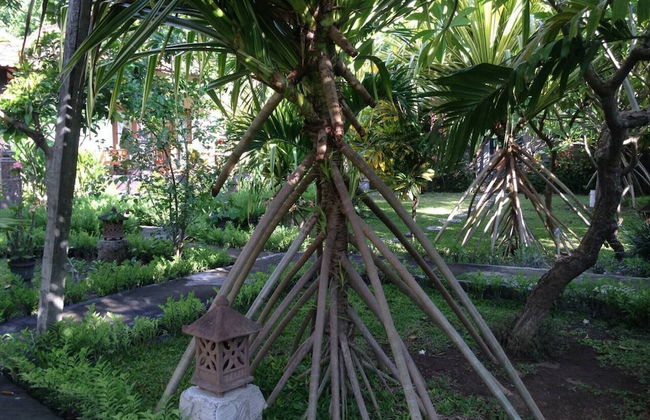 Kirana Homestay - Breeze Bungalow - Foto 11