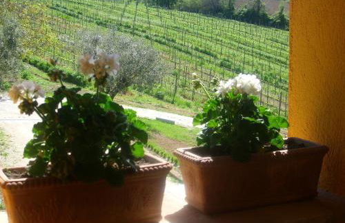 Country House Il Sassòne - Foto 30