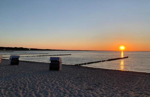 Aparthotel Leuchtfeuer Rügen - Foto 12