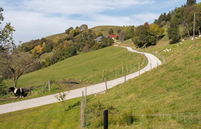 Alpine Hut in Eberstein Near Ski Area - Foto 44