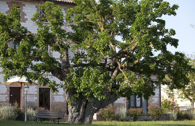 Country House Parco Ducale - Foto 35