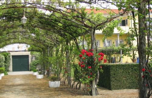 Casa/Apartamento de hóspedes - Foto 7