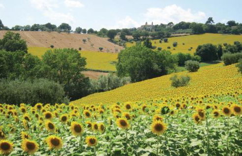 Villa Dei Girasoli - Foto 50