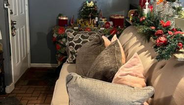 Blue Beauty located by LSU - Foto 3