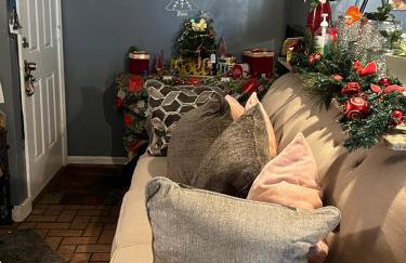 Blue Beauty located by LSU - Foto 3