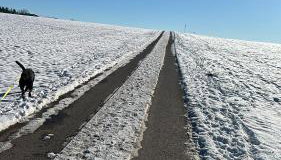 5 Sterne Ferienwohnung im Schwarzwald Schramberg - Foto 2