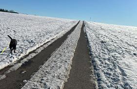 5 Sterne Ferienwohnung im Schwarzwald Schramberg - Foto 2