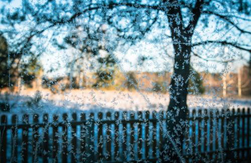 Zielony domek nad Marychą w Budwieć - Foto 18