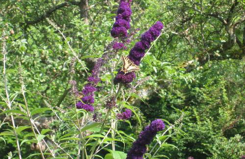 Haus Fernblick - Foto 20