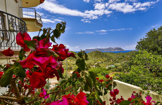 Nirvana Apart - Foto 53