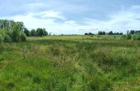 Agroturystyka Zielony Domek - Apartament na wyłączność, slow life, staw, oswojone zwierzęta gospodarskie, posiłki z własnych eko produktów - Foto 46