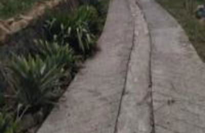 Cabana Deck 3 - Rota Serra do Rio do Rastro - Foto 19