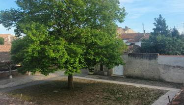 Appartement le Pas Sage du Marché La Flotte - Foto 3