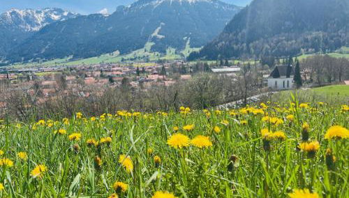Ferienhaus Sommer - Foto 2