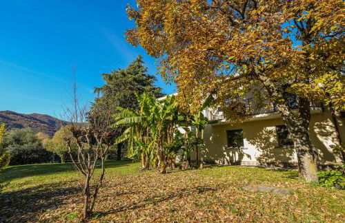 La Magnolia - Foto 24