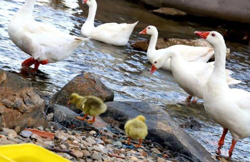 Korthaki Beach House Οικογενειακή Villa στη θάλασσα - Photo 6