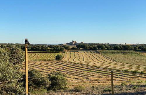 Mas de l'Aranyó - Eco Wellness Spa - Foto 48