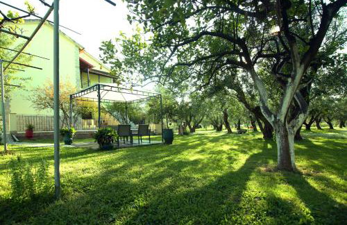 Green House!!! - Foto 39