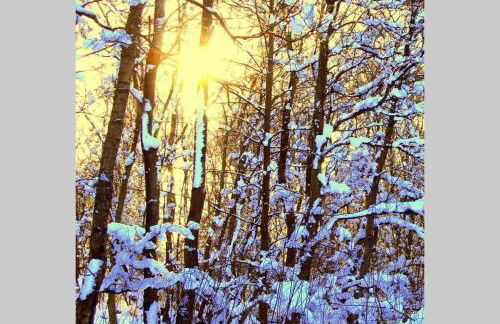 The Cottage - Hot Tub - nr Glasgow - self check-in - Foto 47