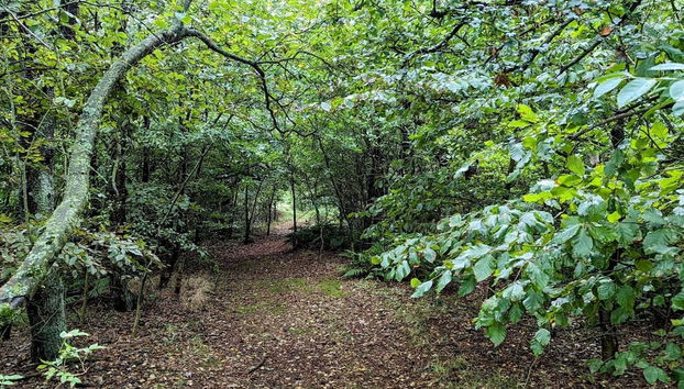 Charming Retreat in Ringkobing - Foto 5, Miscelánea