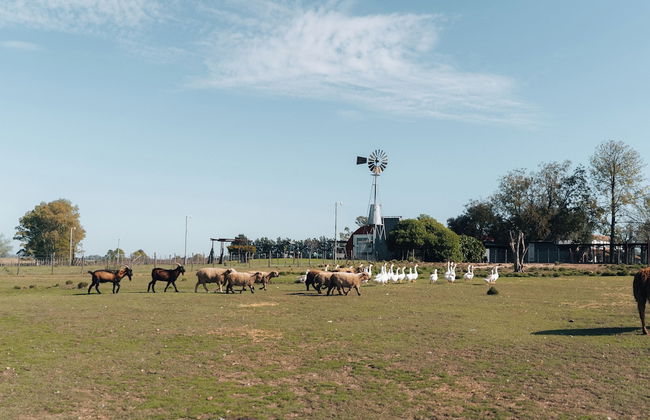 La Santina Posada & Experiencia de Campo - Foto 22