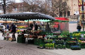 FeWo Sartorius am Hemsberg - Foto 49