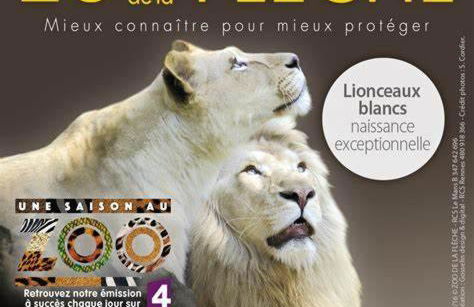 L'appart' du fil - Photo 8