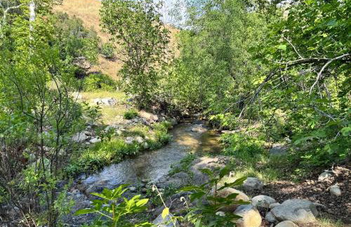 River Retreat near Sequoia National Park - Foto 1