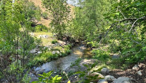 River Retreat near Sequoia National Park - Foto 1
