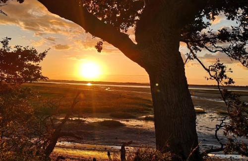 Little Thornfield - Foto 9