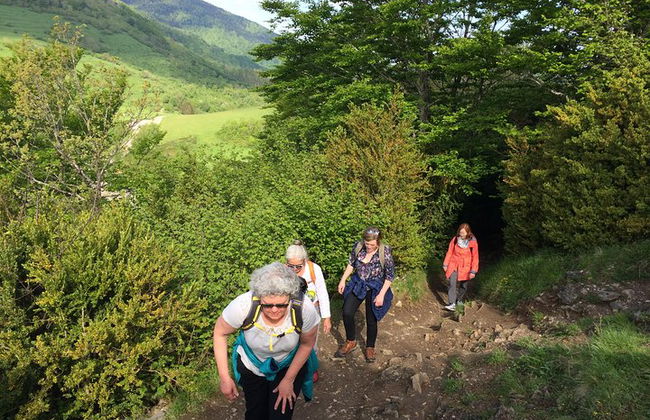 Tour di un giorno a Mirepoix, Montségur, Camon. Tour privato da Carcassonne - Foto 10