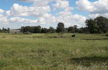 Holiday Home Dom pod Sosnami by Interhome - Foto 90