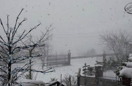 Agriturismo Dolcetna - Foto 35