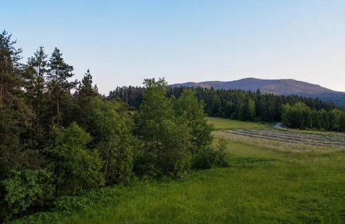 Biały Domek Świerczek - Jacuzzi, Balia Ruska SPA, Rowery, Altana i Grill w Słopnice - Foto 43