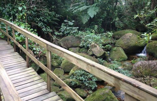 Beach house surrounded by lush nature - Foto 10