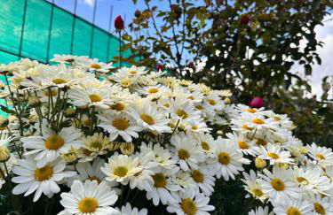 Los Tres Hórreos - Foto 29