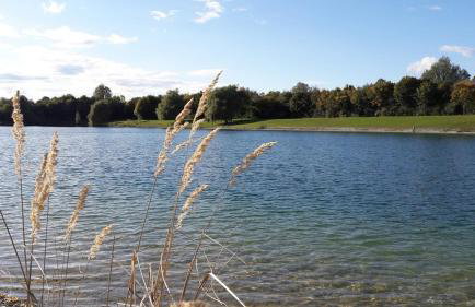 Gemütliche Wohnung nahe München mit kleinem Garten - Foto 47