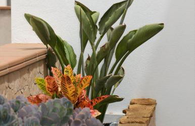 Casa Marinero with Private Pool - Foto 19