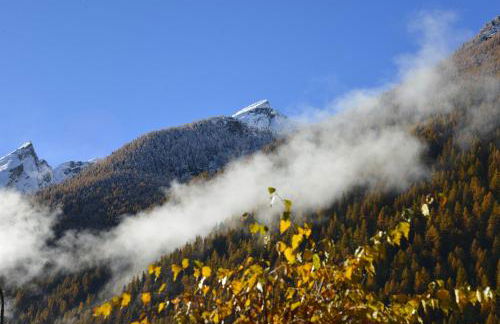 Agriturismo Plan de la Tour B&B - Photo 20