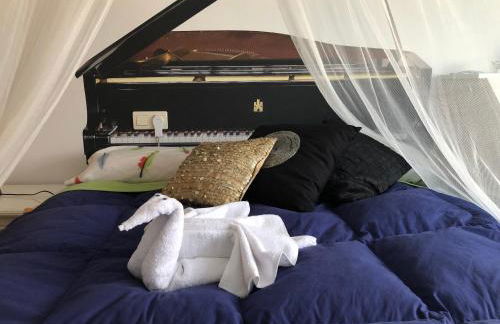 La Casa del Pianista - Foto 77